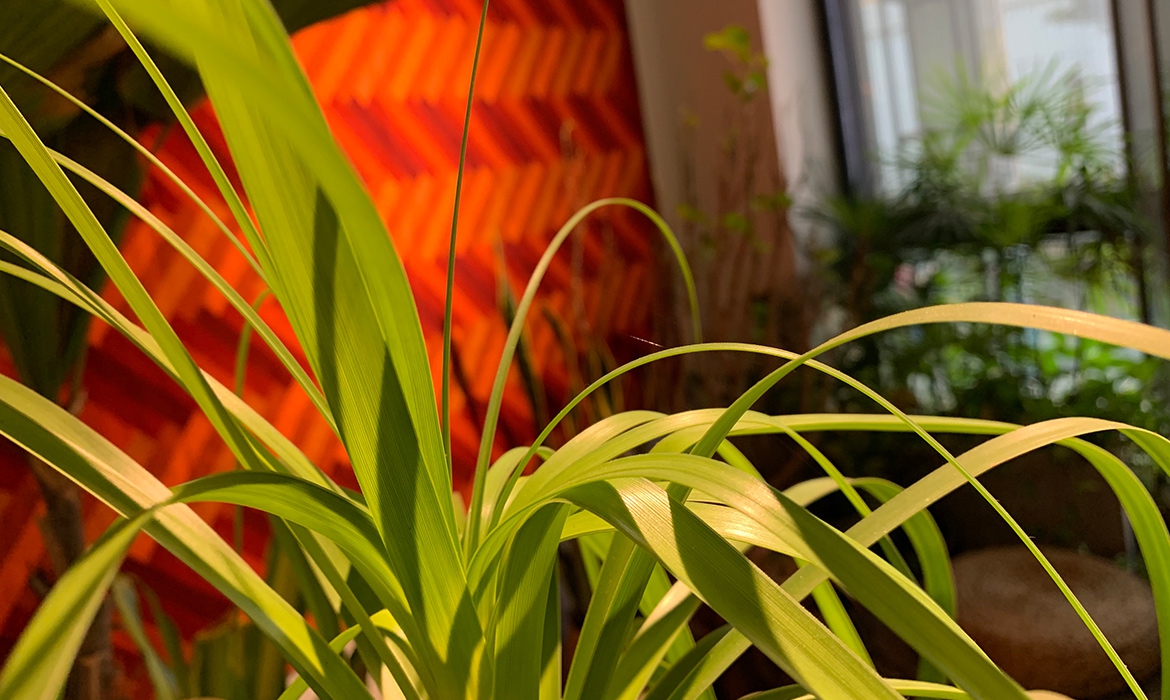 心意識全人學苑