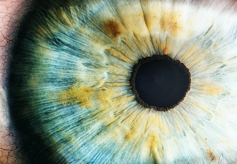 身心情緒釋放SomatoEmotional Release (SER) 