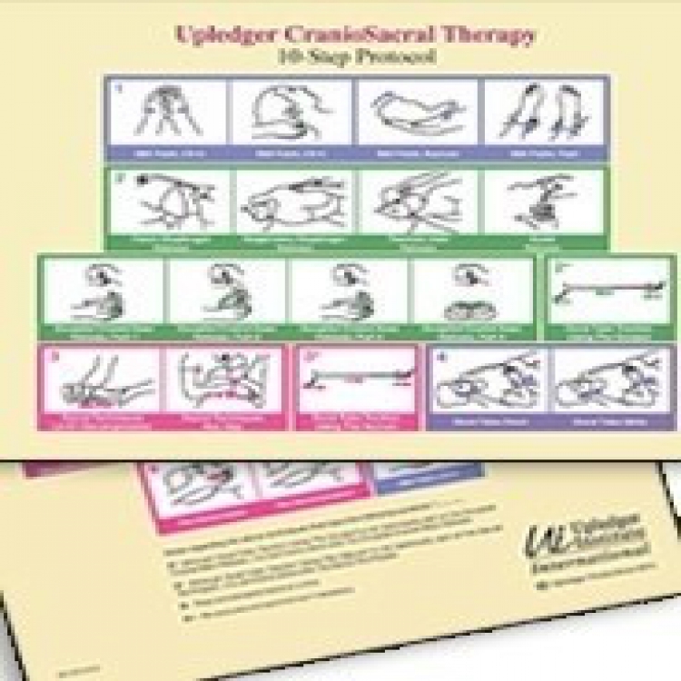 CST 10-Step Protocol Wall Mini Chart隨身卡