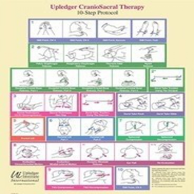 CST 10-Step Protocol Wall Chart  顱薦十部曲大海報