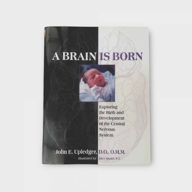 A Brain is Born 大腦的誕生:探索中樞神經系統的誕生與發展